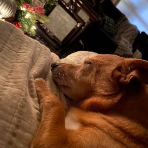 Meet your Posher, Kaitlyn